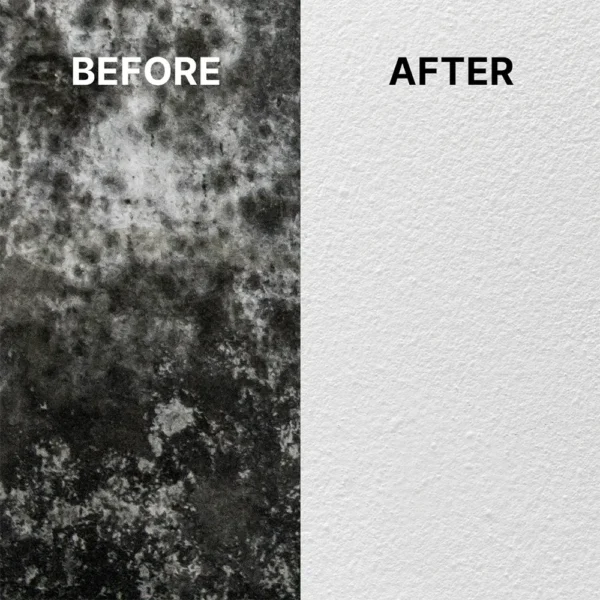 Before and after example of mould spray use