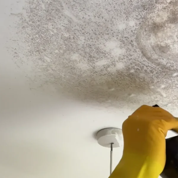 Mould spray used on ceiling mould