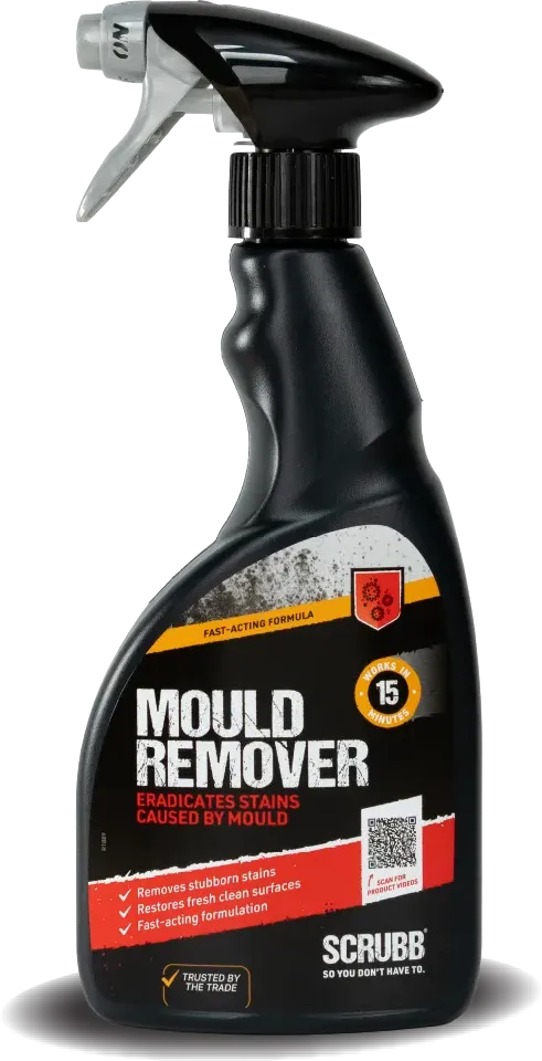 500ml mould remover